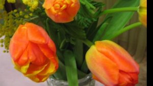 Ну вот и всё