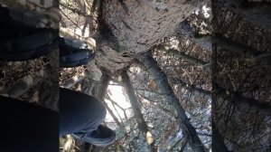 Найдя хороший шалаш 🎪 эти ребята не сдаются и описывают их местность во второй части.