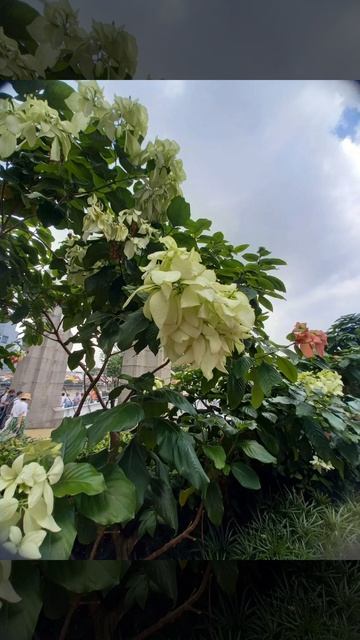 С праздником!