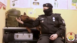 ⚡️Они служат, защищают, вдохновляют