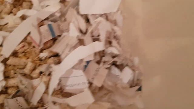 Кузя исправляет ложный чпок И почему у Рыжей чёрные