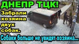 В Одессе ТЦК запаковали мужчину и его жену! ОБЛАВЫ ЗАСАДЫ. #днепр #тцк #зсу #кино #украина #україна