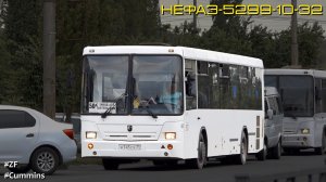 НефАЗ-5299-10-32 (Cummins 6ISBe270B & ZF 6S 1200ВО)