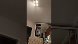 Песня с микрофоном