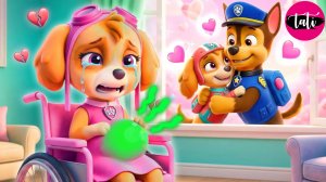 Щенячий патруль и Маршалл. Залипательное видео. Мультфильм для детей и малышей. Анимация 345