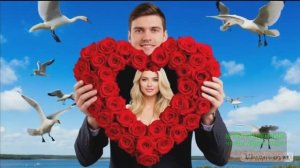 ВСЁ СВОЁ СЕРДЦЕ Я ОТДАЮ ТЕБЕ...