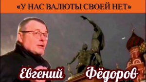 Евгений Фёдоров: «У нас валюты своей нет»
