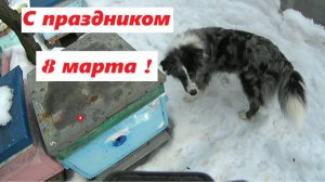 С праздником 8 марта !
