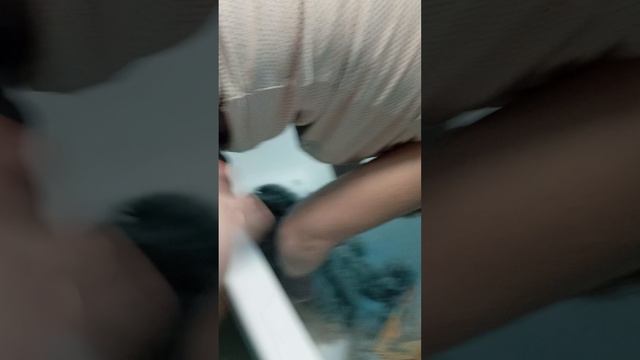 лёна стригут