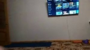 Пять ночей с машинами 4-ая ночь short1