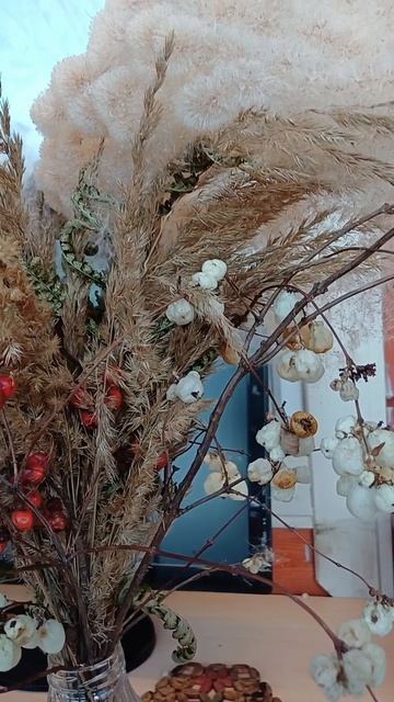 Отшумел камыш первый раз вижу 