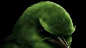 разговор о барсике