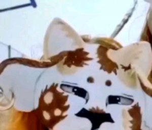 обучение квд