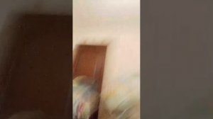 1 сезон 2 серия на Мальдивах