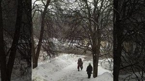 Вот так 8 Марта Всех женщин с 8 Марта