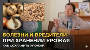 Почему портится урожай при хранении — болезни, вредители и защита