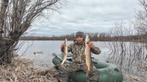 РЫБАЛКА НА СЕТИ ВЕСНОЙ. ПОСТАВИЛ СЕТИ ПО КУСТАМ И ВОТ ЧТО ИЗ ЭТОГО ВЫШЛО.