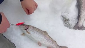 Праздничное утро На Спорт-зоне. Клёвое место Лосиный остров.