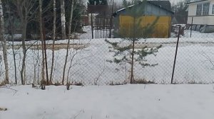 8марта на даче.8.03.26г.
Ленинградская область.