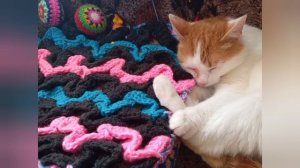 Итоги в СП "Триостарты"_8.03.2026г