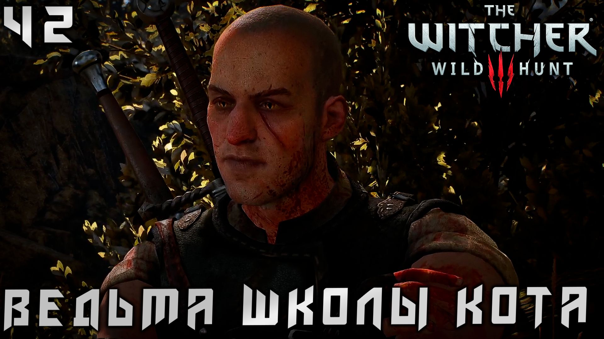 Ведьмак 3 Дикая Охота - Ведьма школы кота  #42 (The Witcher 3 Wild Hunt)