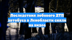 Последствия лобового ДТП автобуса в Ленобласти сняли на видео