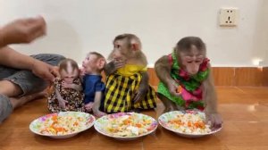 Четыре сестры Моки.