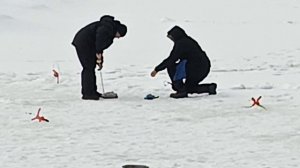 VID_20260308_124214_171