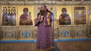 Исцеление расслабленного. Слово в воскресный день