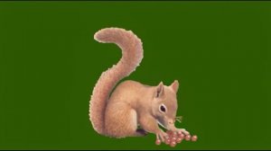Белка 04_encoded