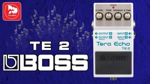 Гитарный эффект BOSS TE2