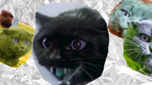 МОЙ ТВ-КАНАЛ "КОТОРАМ"!!!!! 🥳🥳🥳