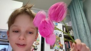 сообщение о новостях видео всех девочек с 8 марта желаю успехов и благополучия и хорошего настроя