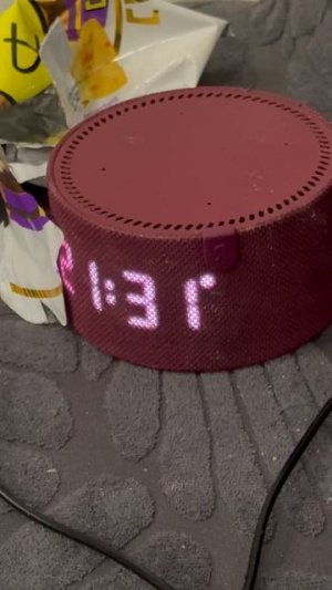 Подписчики нравится вам моя колонка Алиса? Подпишитесь на меня пожалуйста!🙏🏻