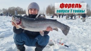 Трофейная ФОРЕЛЬ со льда / Запуск 1 тонны / Чайка