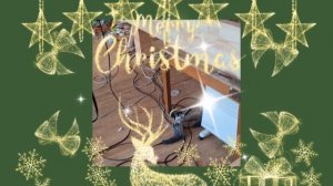 1000050880.mp4 (Собака наблюдает за устройством лестницы на 2-ой этаж в доме А-фрейм)