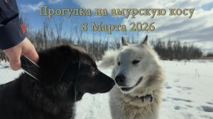 Прогулка на амурскую косу. 8 Марта 2026