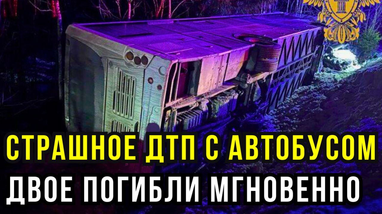 Лобовое на “Сортавале”: рейсовый автобус в кювете, двое в легковушке погибли