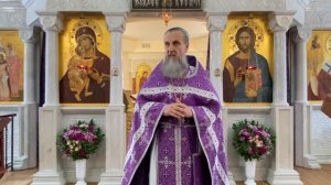 Исцеление расслабленного — что это значит для нас сегодня? Отец Игорь Бачинин