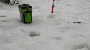 Поимки форели на запуске и вручение призов за три пойманные форели на актив.