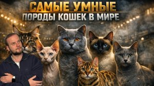 Самые умные породы кошек в мире