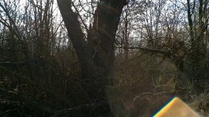 Рыболовецкое озеро 08 03 2026 год