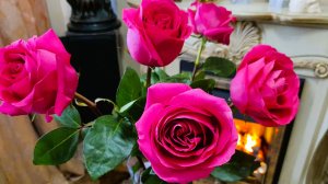 Восьмимартовский подарок - ВАМ! Там всегда тепло. Песня на мой стих