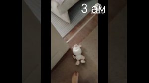 5 ночей с гошей 5-я ночь