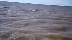 Азовское море. Часть 3.