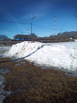 Доброе утро с 8 марта