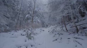 Музыка в рассказах. П.Чайковкий. "Думка"