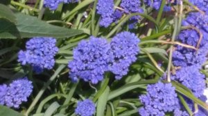 С праздником Весны! 
🌷🌷🌷