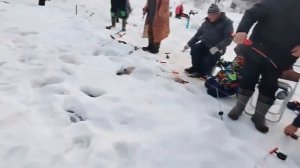 08.03.26 г. РК Волна.