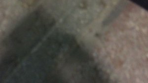 Теорема ЖКХ_Подъезд_2026.03.08_14-13